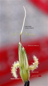  One sessile and 2 pedicelled spikelets